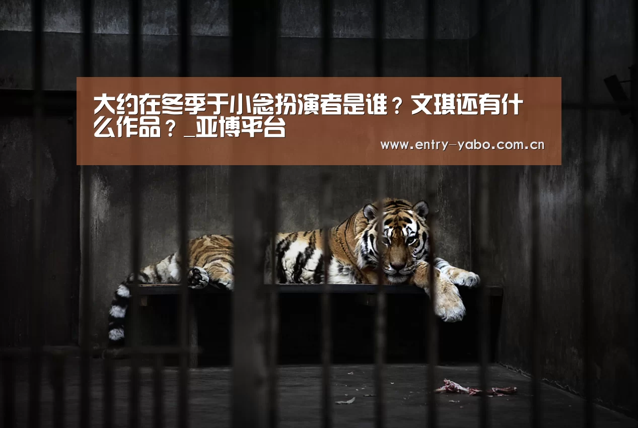 大约在冬季于小念扮演者是谁?文琪还有什么作品?_亚博平台(图1) 真人百家乐