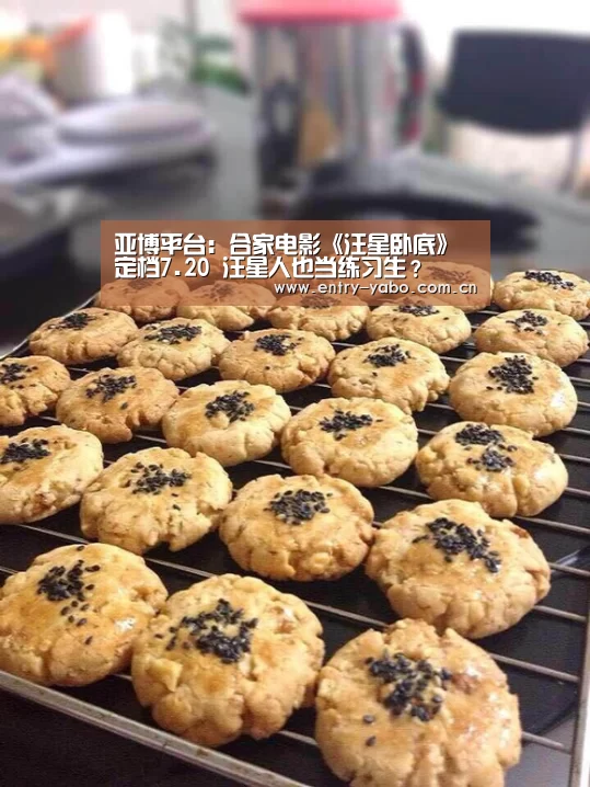 亚博平台:合家电影《汪星卧底》定档7.20 汪星人也当练习生?(图3) 亚博官网