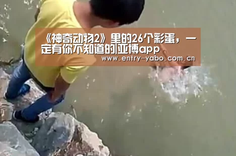 亚博官网
